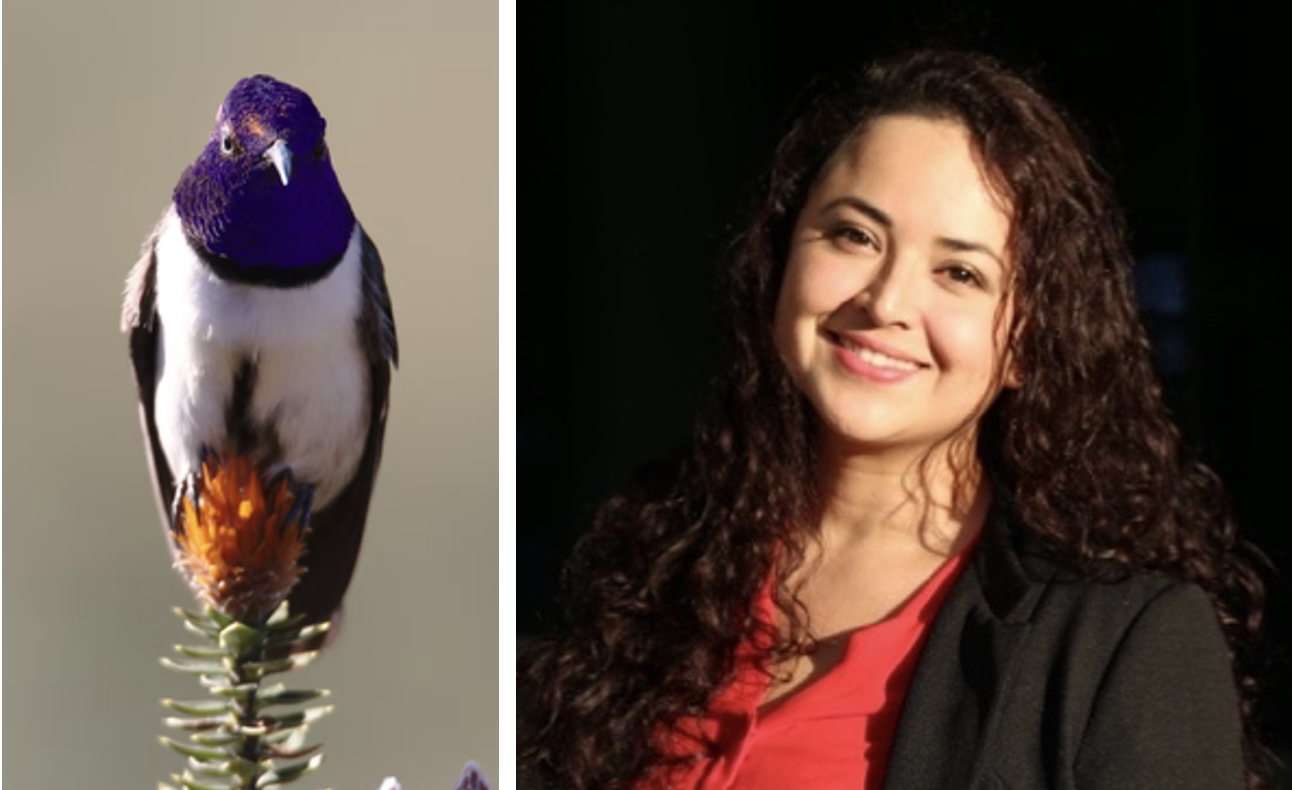 fer y colibri hhm event