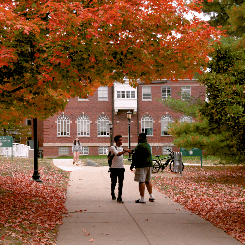 students shaking hands under fall foliage on quad of Illinois Wesleyan University